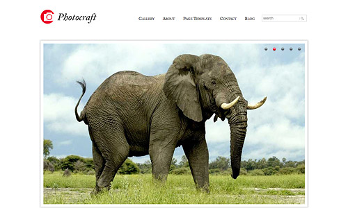 photocraft photography wordpress theme