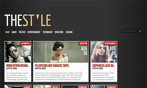 thestyle wordpress theme