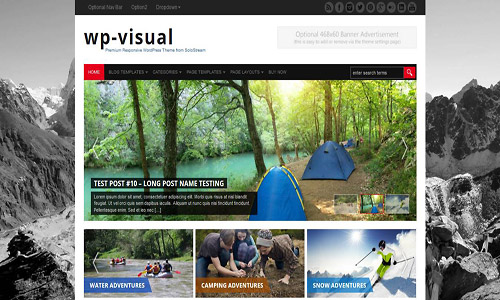 wp-visual wordpress theme