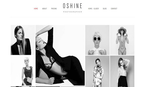 oshine wordpress theme