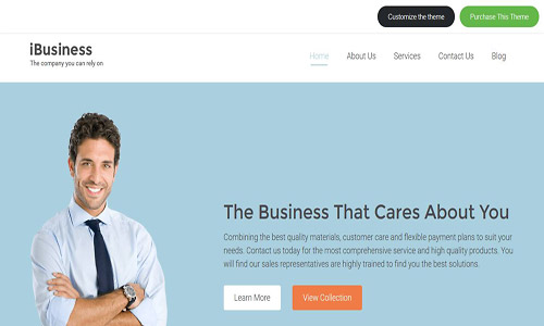 ibusiness wordpress theme