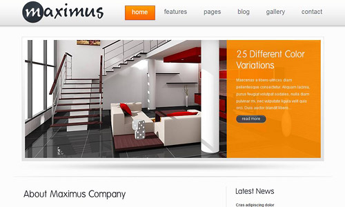 maximus wordpress theme